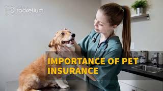 Importance of Pet Insurance