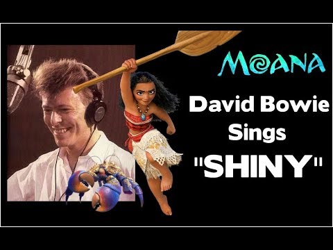 Download Shiny By Jermaine Clement Mp3 Free And Mp4