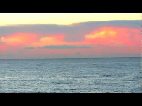 Olas del mar y gaviotas volando al atardecer , HD 1080p