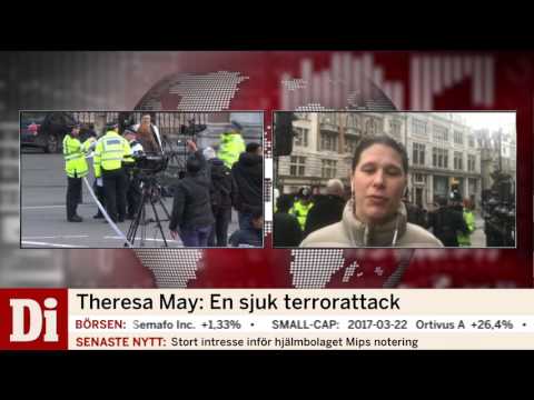 Flera gripna i polisräder efter dådet i London