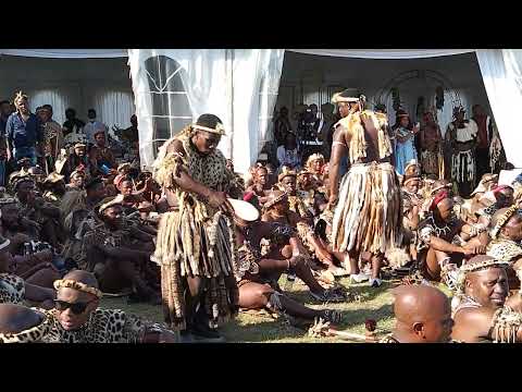 IZINSIZWA ZIKA SHAMENI KWANONGOMA, ZIDLALA EMTUBABA #ZULU KING #AMABUTHO #INGOMA #NONGOMA