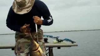 preview picture of video 'HUGE *RECORD CARP* CarpKillers.com*BowfishingTV ! Must See!! GREAT VIDEO! 5 STARS'