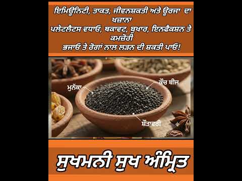 ਇਮਿਊਨਿਟੀ, ਤਾਕਤ, ਜੀਵਨਸ਼ਕਤੀ ਅਤੇ ਊਰਜਾ  ਦਾ ਖਜ਼ਾਨਾ ਪਲੇਟਲੈਟਸ ਵਧਾਓ, ਥਕਾਵਟ ਬੁਖਾਰ ਇਨਫੈਕਸ਼ਨ ਤੇ ਕਮਜ਼ੋਰੀ ਭਜਾਓ #
