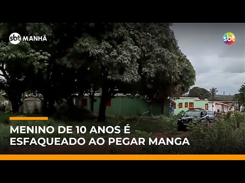 Criança de 10 anos é esfaqueada por adolescente enquanto pegava mangas em árvore | #SBTManhã