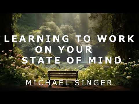 Michael Singer - Learning to Work on Your State of Mind