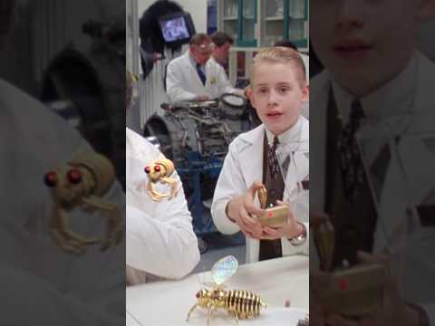 Richie really ought to BEE more careful 🐝 #RichieRich #MacaulayCulkin #Netflix