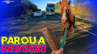 FATOS CURIOSOS NO TRÂNSITO (EP.663)