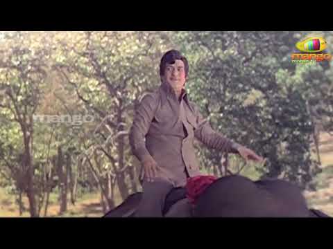 Adavi Ramudu Movie Songs   Amma Thodu Song   NTR Jayaprada