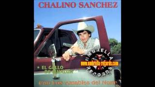 El Gallo de Sinaloa-Chalino Sanchez