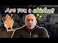 DON'T BE A CHICKEN!