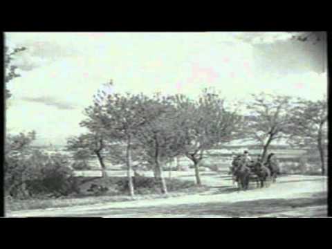 Francisco Alegre (Juanita Reina)