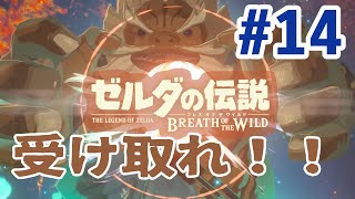 【BtoW】この世の原理を知らない　寄り道がメインのゼルダの実況　14