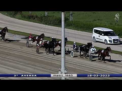 Aversa trotto 18 Marzo 2023 - 3° Corsa