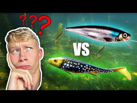Hecht Angeln im Herbst - Hard vs Softbaits (Ich dreh durch!)