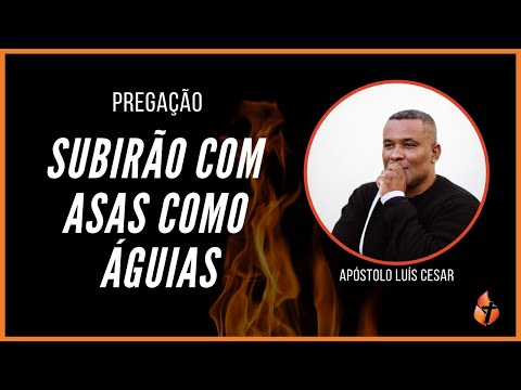 Como Águia video