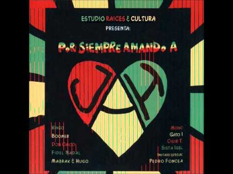 Kingo Roots "Ciclo Natural"