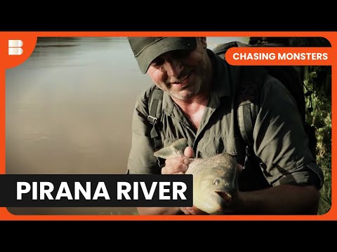 Piranha River Mysteries - Chasing Monsters - S03 EP03 - Nature & Adventure Documentary