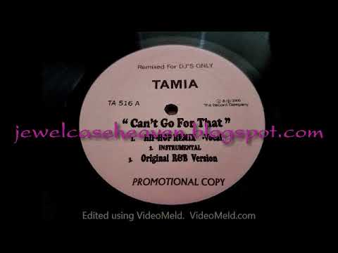 Tamia ~ Can't Go For That (Hip Hop Remix Vocal) (2000) Rare White Label Remix