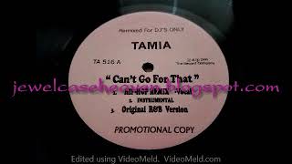 Tamia ~ Can&#39;t Go For That (Hip Hop Remix Vocal) (2000) Rare White Label Remix