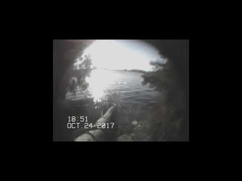 BENBTS x KPBTS - Tropical 🌴