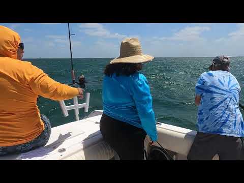 King Mackerel Fishing on the Marlin