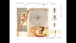 dragons flies dragonflies drakkars & the walls of Jericho