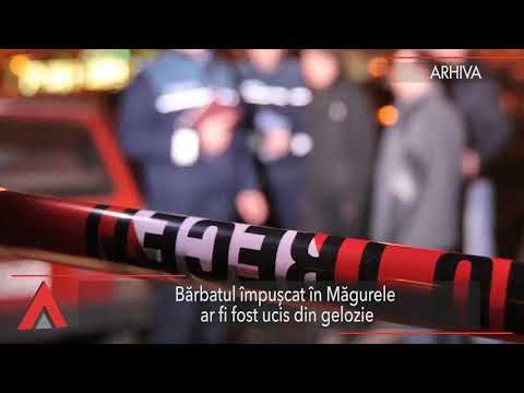 Stiri Mediafax 06 August- Mihai Fifor: A fost nepricepere multă, indolență multă