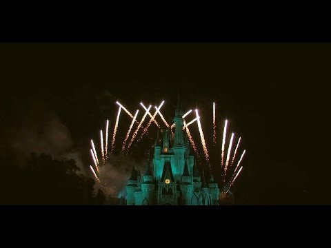 Lafuente Amarelinhos 2014 - FLORIDA TRIP | Aftermovie