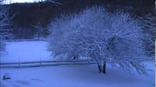 The Silence of Snow - Linda Eder