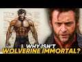 Wolverine Anatomy & Story Explored | X-Men Anatomy