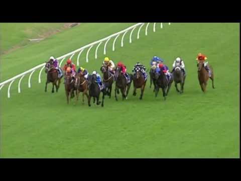 ATCtv Trackwork with TVN BMW Doncaster Mile - Gai Waterhouse