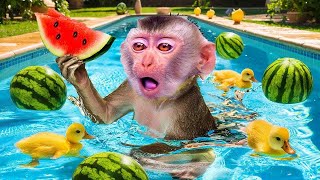 The Farmer In The Dell | Baby Monkey Nursery Rhymes & Kids Songs