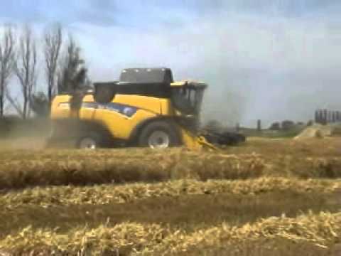 Demarez-Marreel: Maaidorsen.