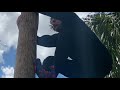 Meathead Climbs 30 Foot Tree