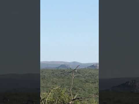 VISTAS DE LOTEO SEMI-CERRADO "LOS ESPINILLOS" A 4KM DE VILLA TULUMBA, CORDOBA. VISTAS A MONTE NATIVO