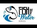 Richie Kotzen - Plaid Plesiosaur Reaction (Fish Out Of Water Series)
