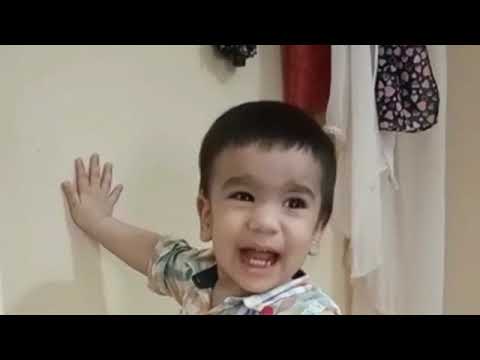 The Lion's Roar Kung fu - Movie Kung fu Hustle -Baby funny video