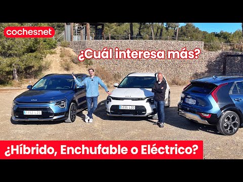 Which car should I buy: Hybrid, Plug-in, or Electric? | Kia Niro Comparison / Test / Review