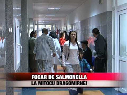 Focar de Salmonelola la Mitocu Dragomirnei