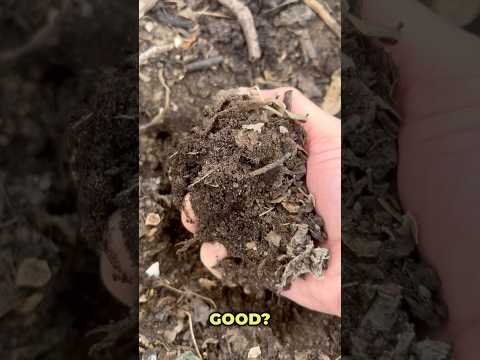 Rehydrating Dry Compost: Is It Still Viable?