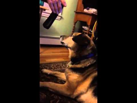 Sasha taking over the phone