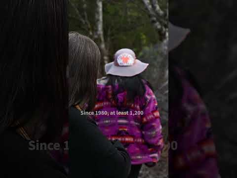 'Treated like garbage': inside Canada's silent Indigenous femicide crisis | AFP #shorts