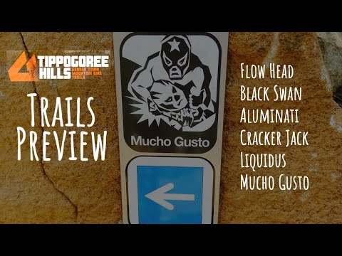 Tippogoree Hills (George Town, Tasmania) MTB Trails Preview