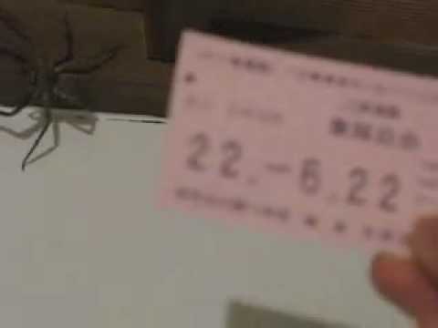 Billy Bolt Bug Hunter Vol. 3