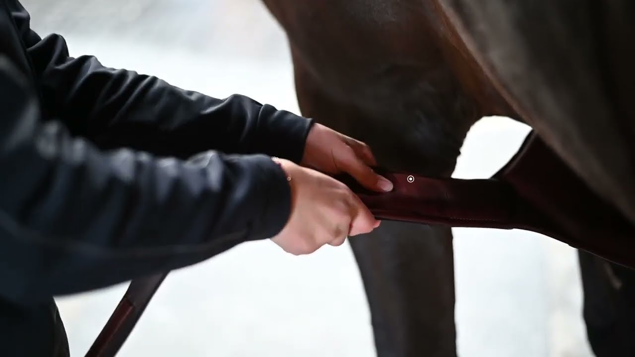 Flexmotion jumping girth