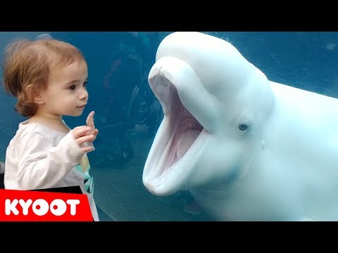 Girl SPOOKED By A Beluga Whale 🐳 Funny Kids at the Aquarium