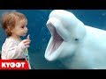 Girl SPOOKED By A Beluga Whale Funny Kids At The Aquarium