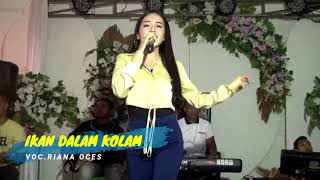 Download lagu Riana oces - Ikan dalam kolam - #cover || Pacific proo mp3 Download lagu Riana oces - Ikan dalam kolam - #cover || Pacific proo mp3
