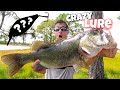 CRAZY Fishing Lure Challenge