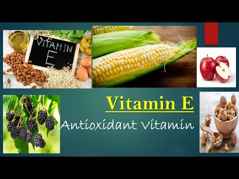 Vitamin E - Rich Food Packed with Antioxidant.